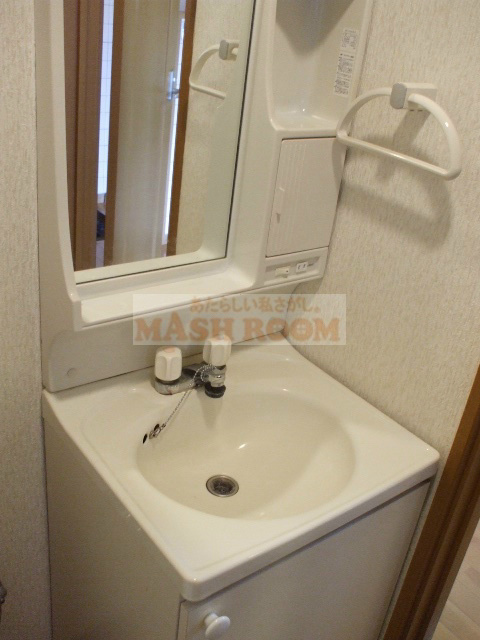 グレース大和の洗面所