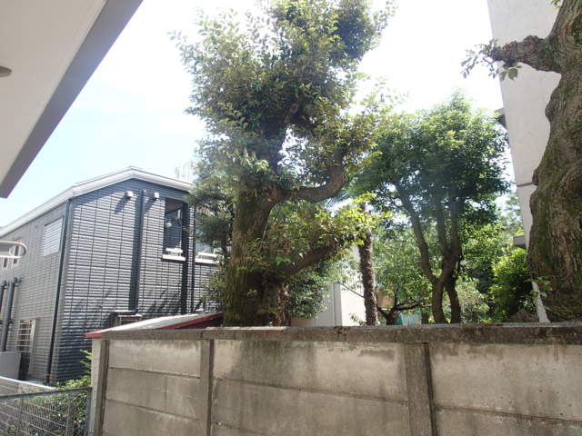 Terrace Tの展望