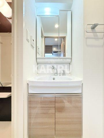 Alivis福島海老江の洗面所