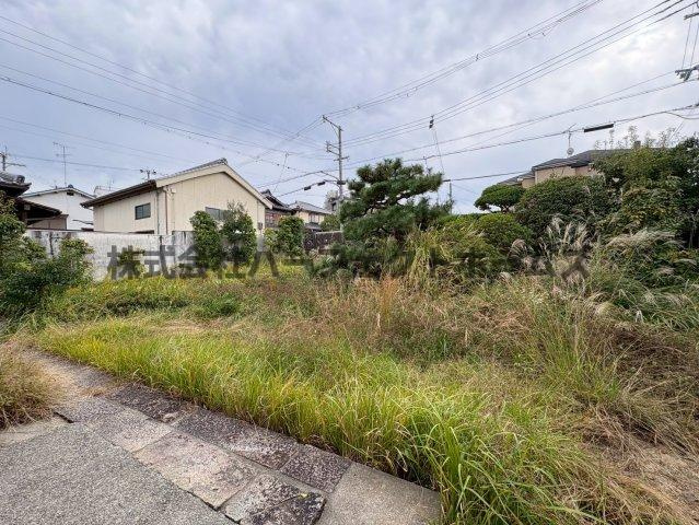 津田元町1丁目平屋　賃貸の庭|お庭も活用できます