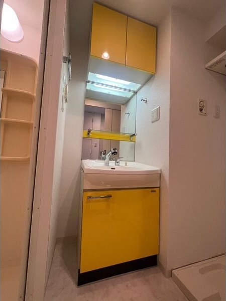 プレサンス千種駅前ネオステージの洗面所