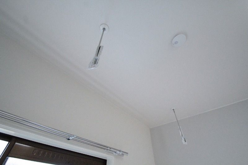 with plunts 北町のその他