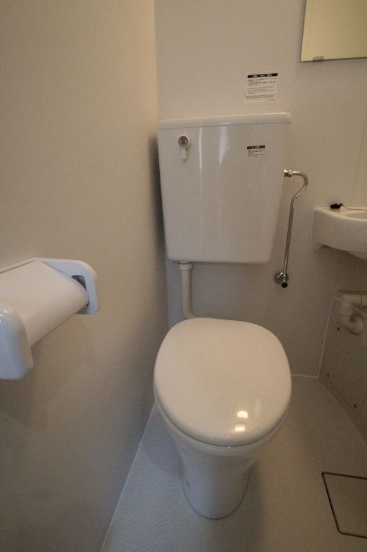 with plunts 北町のトイレ