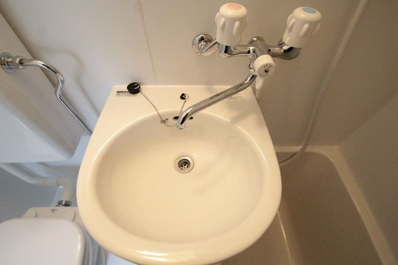 with plunts 北町の洗面所