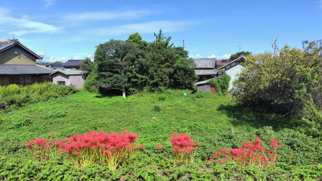６２８２６　岐阜市柳津町高桑1丁目土地の外観