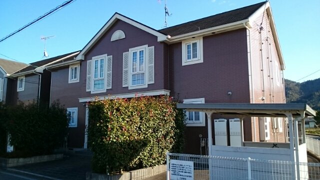 プリムローズ　Ｂ