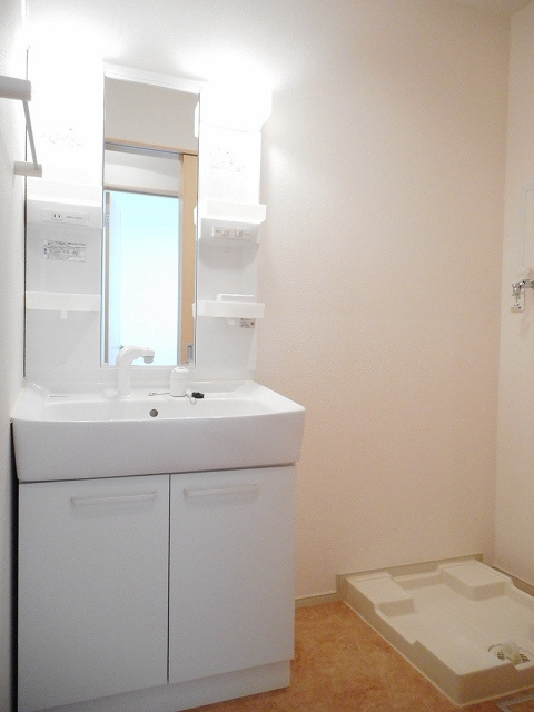 ベル　ピアッツァ　Ⅰの洗面所|洗面所