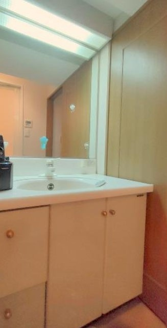 ライオンズガーデン西新井大師壱番館の独立洗面台