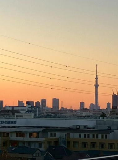 ライオンズガーデン西新井大師壱番館のその他