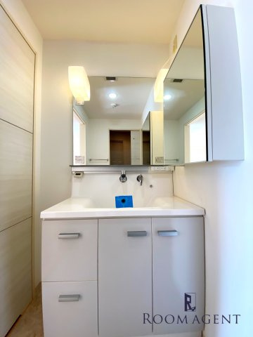 ピオーネ覚王山の洗面所