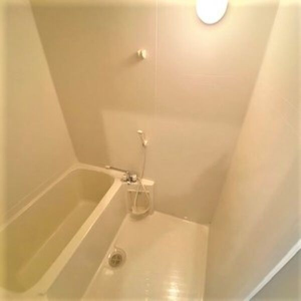 メイナンハイムの浴室