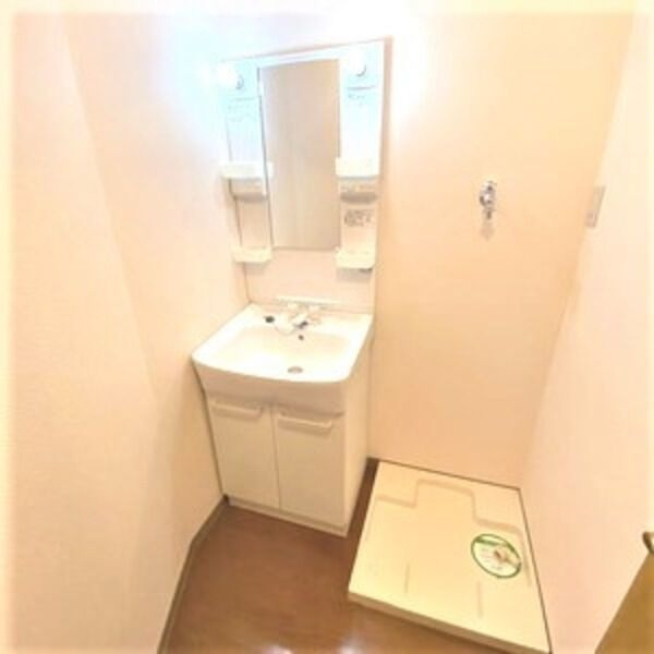 メイナンハイムの洗面所