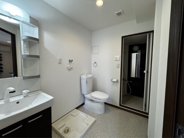 ファブール中村橋の洗面所