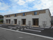 ソラーレの画像