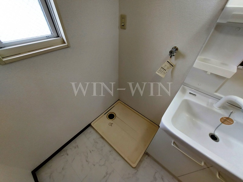 フレグランス三ツ相 B棟の洗面所