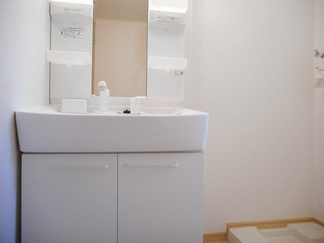 メゾン・シェーネの洗面所