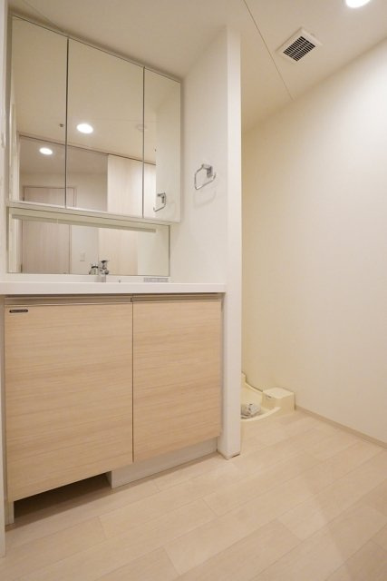 ＤｅＬＣＣＳ白山の洗面所