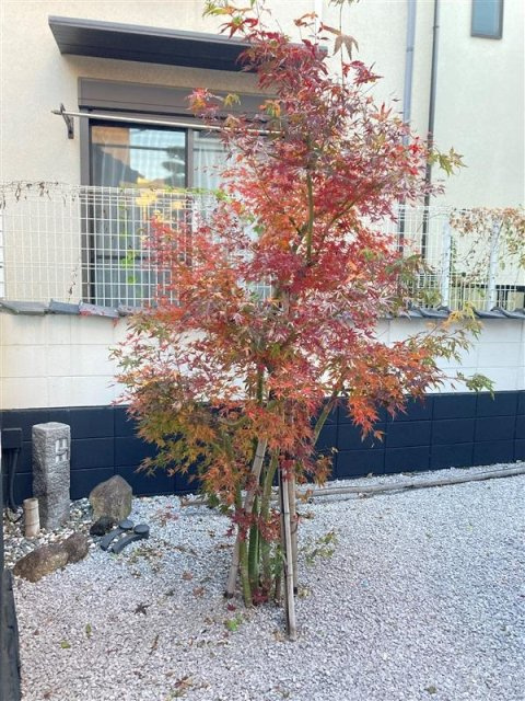 WATEI久我山の外観