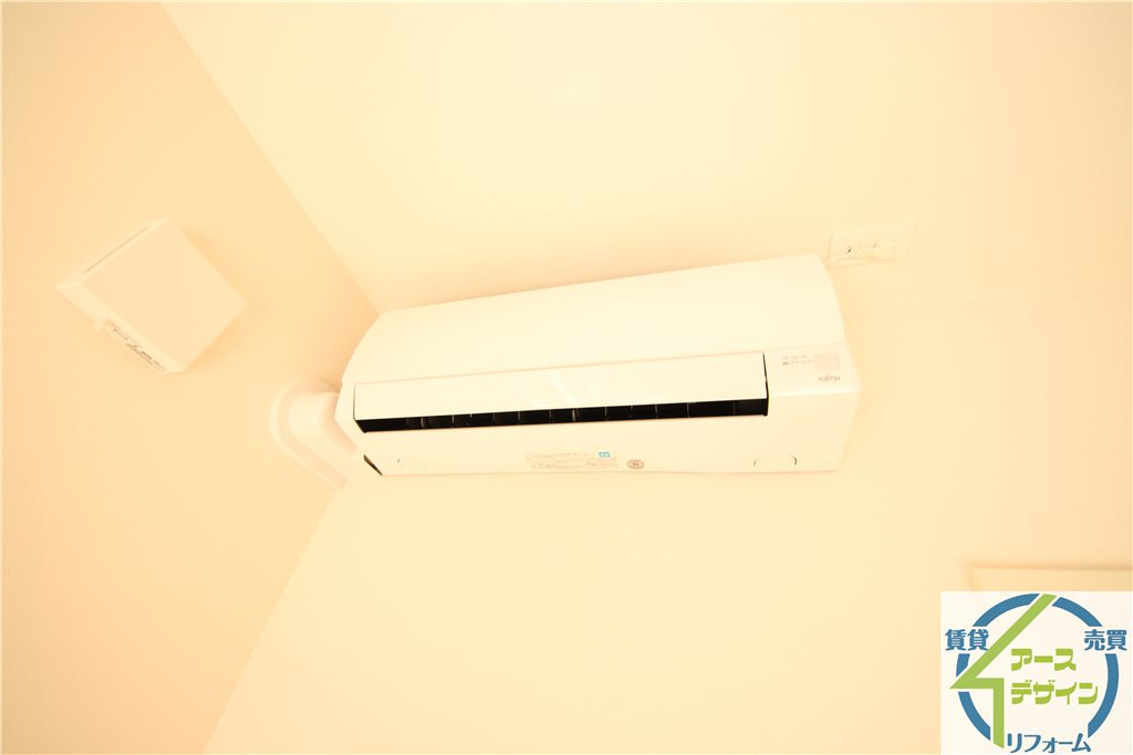 レジーナのその他