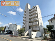 フローレスタナベの画像