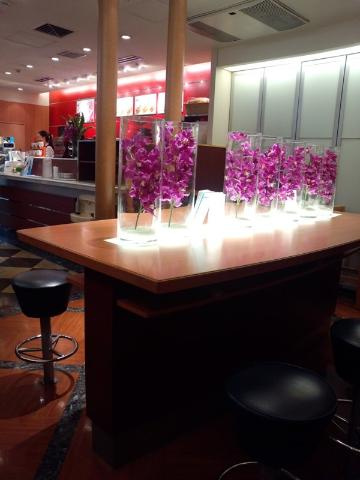 Feliz Bonita（フェリス　ボニータ）の周辺|ドトールコーヒーショップ西鉄大橋駅店まで923ｍ