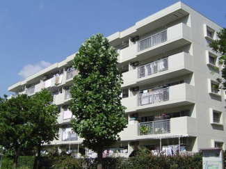 【外観】 | 金沢シーサイドタウン並木２丁目６街区 | 緑豊かな自然溢れる住環境です♪