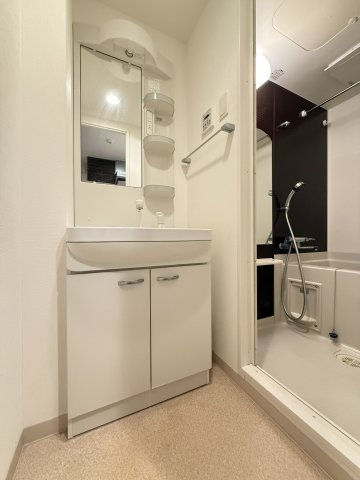 Luxe我孫子の洗面所