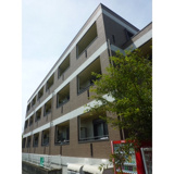 マメゾン風雅(マメゾンフウガ)の画像