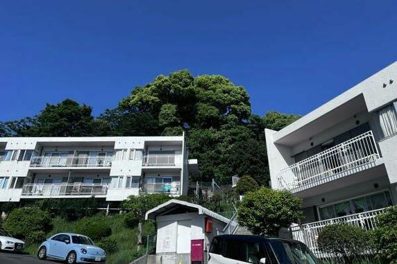 ヴィラ南熱海の外観