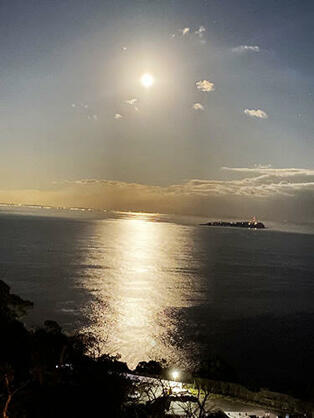 ヴィラ南熱海の展望