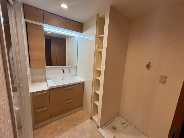 コスモ大宮グレイスフォルムの洗面所