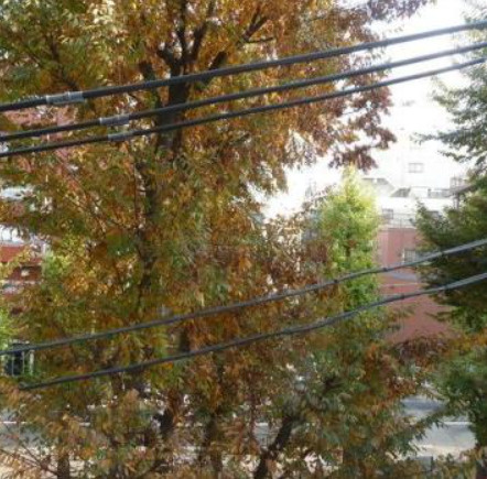 ジョイシティ小石川の展望