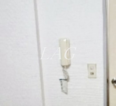 【セキュリティ】 | カーサハシモト | インターフォンです。