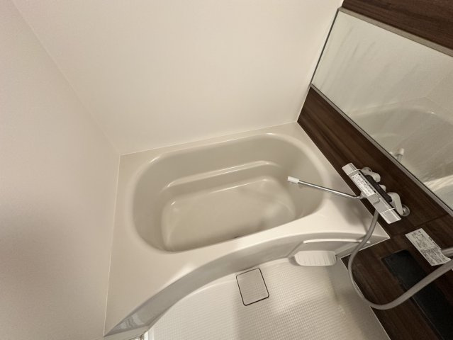 プレサンスNEO九条ディアシスの浴室