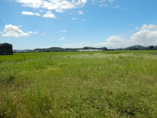 瀬戸内邑久町百田の外観