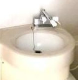 ボアヴェール桜木の洗面所