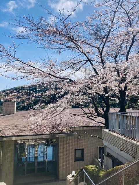 エムロード熱海の周辺