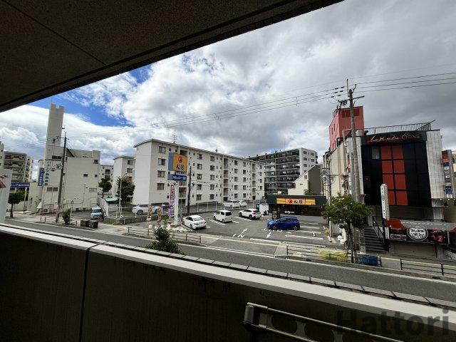 アイコートの展望