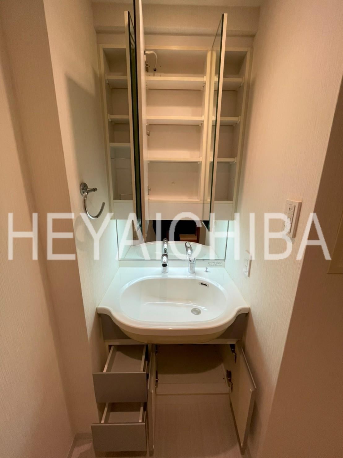 日神デュオステージ御徒町の洗面所|洗面所収納