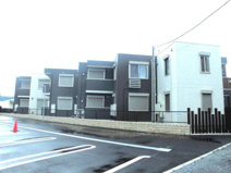 contadino(コンタディーノ）の画像