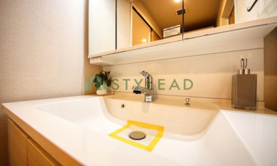 【独立洗面台】 | サングレイス鴨居サウスコート