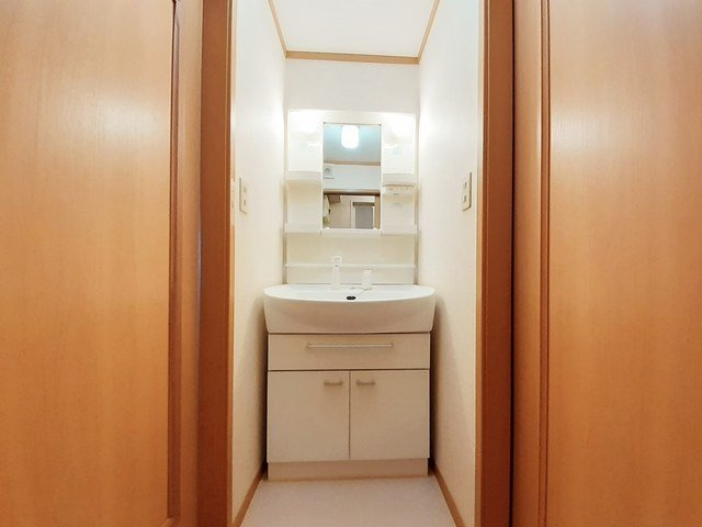 カルムメゾンの洗面所