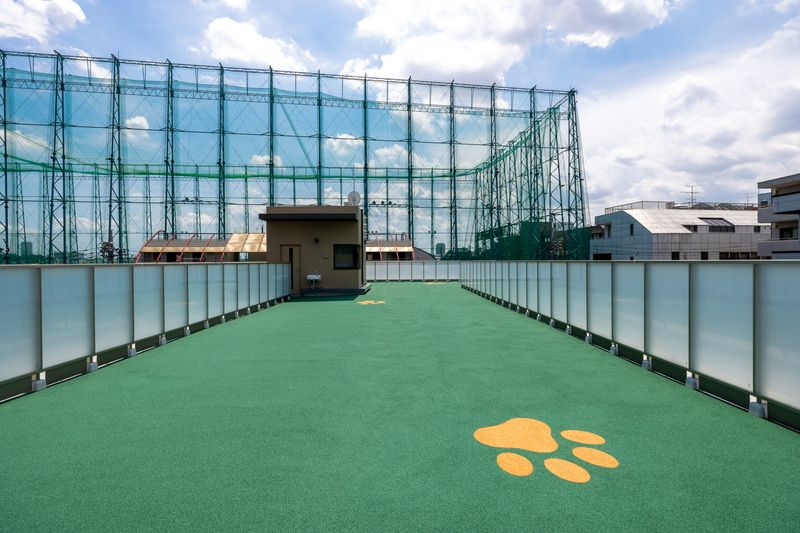 Dear WAN Court 練馬平和台