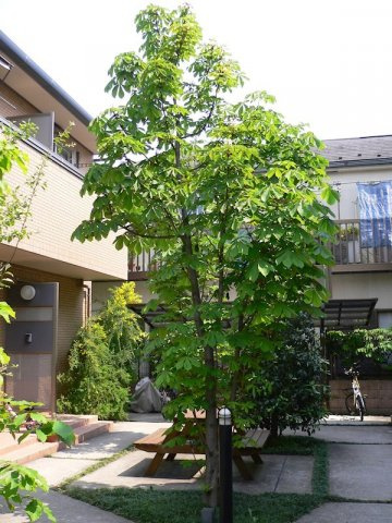 油面パークヴィレッジC棟のその他共用部分