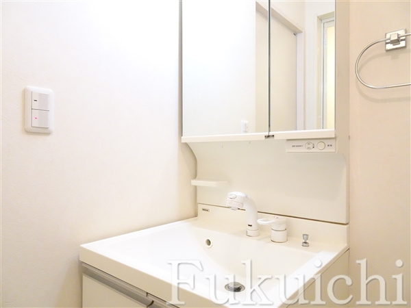 油面パークヴィレッジC棟の洗面所