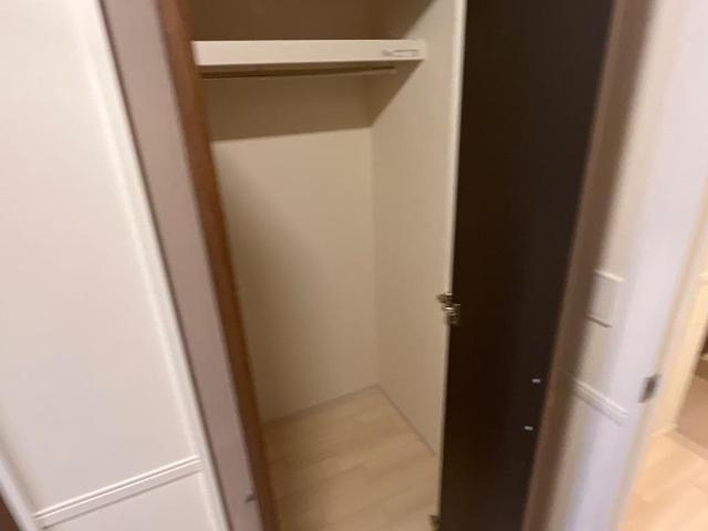 新潟市西区内野西2丁目新築アパートの収納|収納（イメージ）