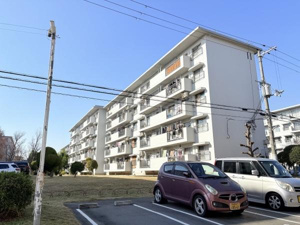浅香山住宅11号棟　中古マンションの画像