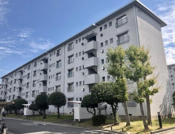 【外観】 | 浅香山住宅11号棟　中古マンション