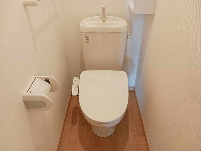 サラール　Ⅱのトイレ|落ち着いたトイレです