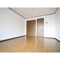 アンプルールフェールCOCOの画像